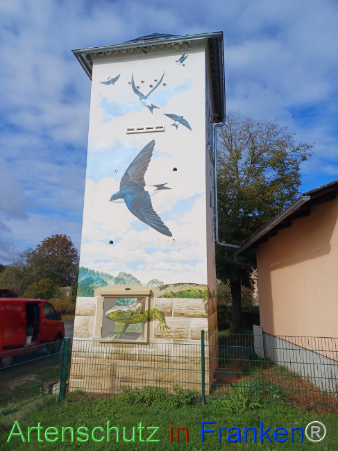 © Artenschutz in Franken® Bild zum Eintrag (1112823-160)