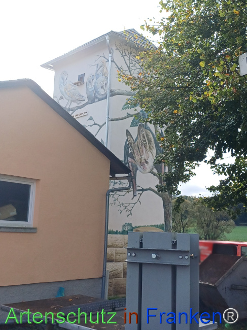 © Artenschutz in Franken® Bild zum Eintrag (1112824-160)