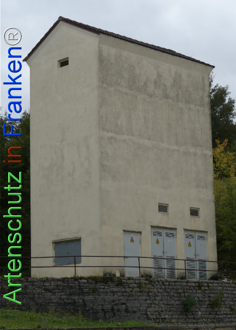 Bild zum Eintrag (1112829-160)