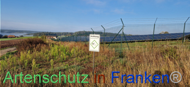 © Artenschutz in Franken® Bild zum Eintrag (1113003-160)