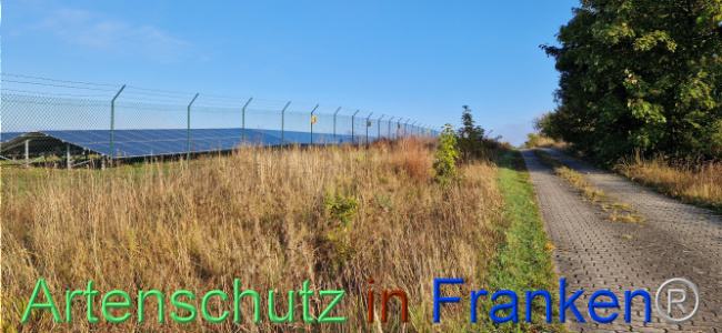 © Artenschutz in Franken® Bild zum Eintrag (1113004-160)