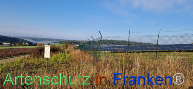 © Artenschutz in Franken® Bild zum Eintrag (1113005-160)