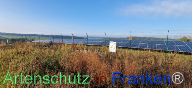 © Artenschutz in Franken® Bild zum Eintrag (1113008-160)