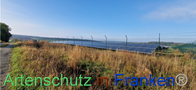 © Artenschutz in Franken® Bild zum Eintrag (1113009-160)