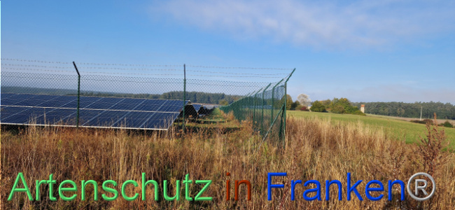 © Artenschutz in Franken® Bild zum Eintrag (1113010-160)