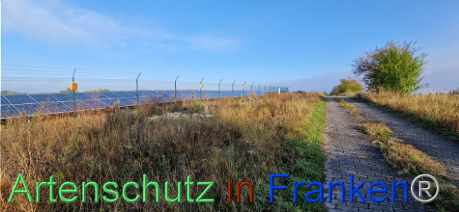 © Artenschutz in Franken® Bild zum Eintrag (1113011-160)
