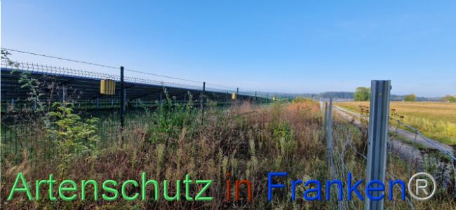 © Artenschutz in Franken® Bild zum Eintrag (1113022-160)