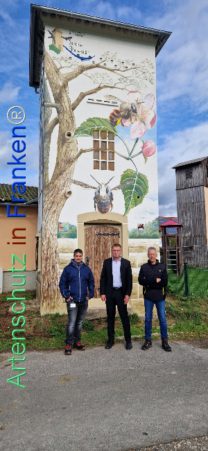 © Artenschutz in Franken® / Henkelmann Bild zum Eintrag (1113214-160)