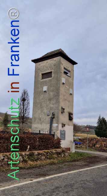 © Artenschutz in Franken® Bild zum Eintrag (1113287-160)