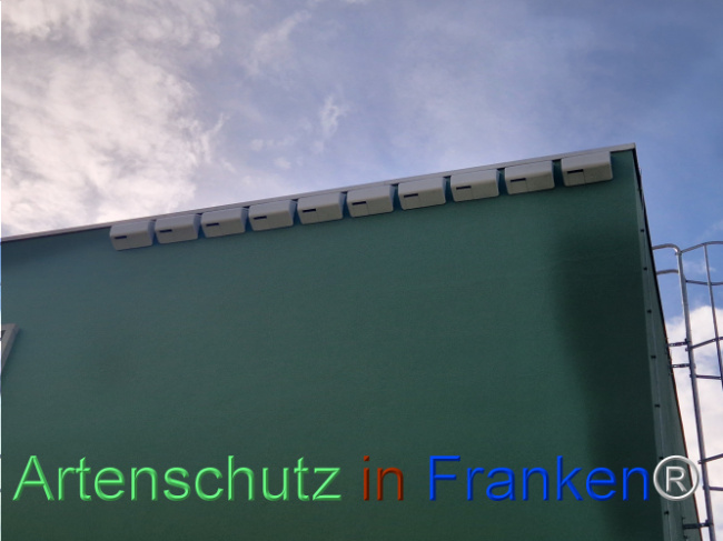 Bild zum Eintrag (1113667-160)