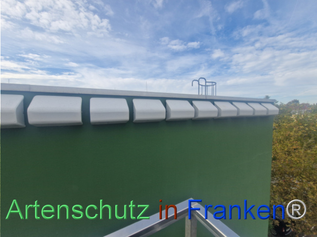 Bild zum Eintrag (1113668-160)
