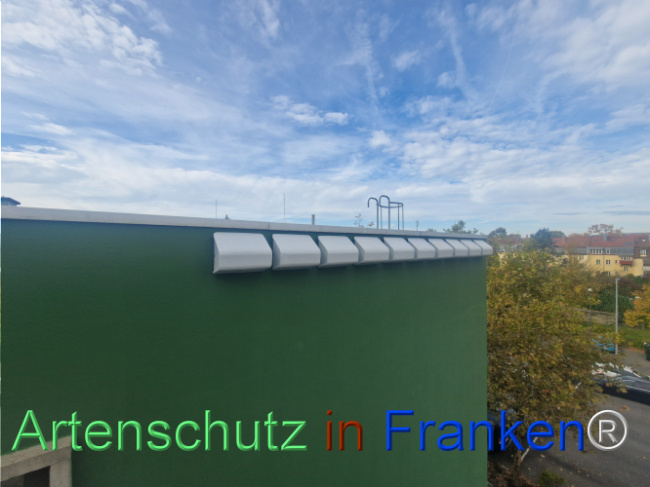 Bild zum Eintrag (1113670-160)
