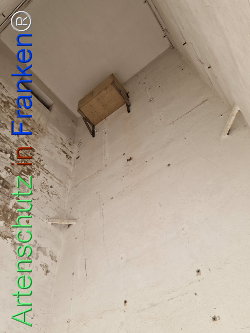 Bild zum Eintrag (1113698-160)