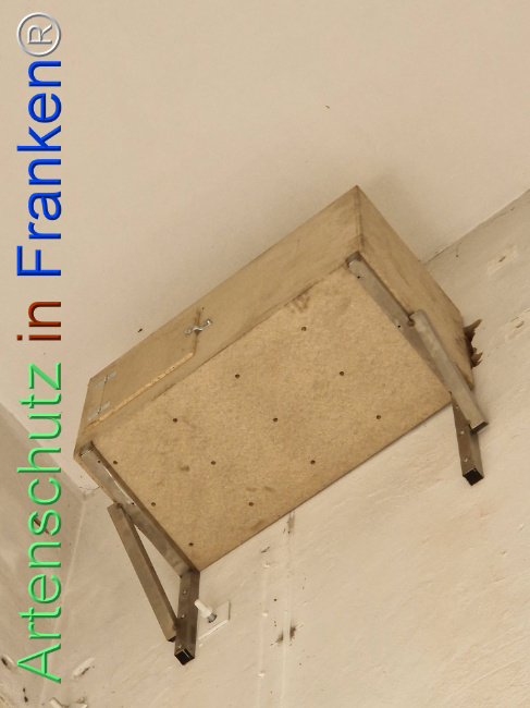 Bild zum Eintrag (1113700-160)