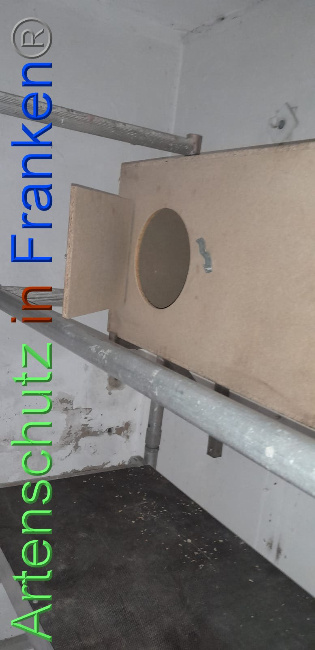 Bild zum Eintrag (1113830-160)