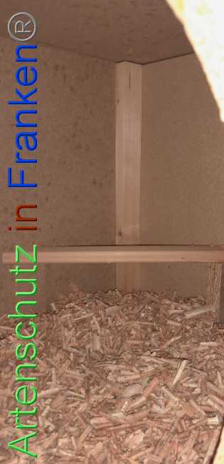 Bild zum Eintrag (1113831-160)
