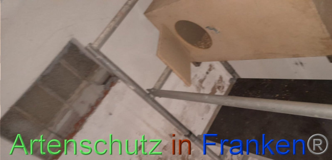 Bild zum Eintrag (1113832-160)
