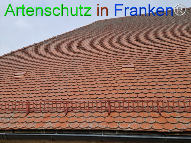 © Artenschutz in Franken® Bild zum Eintrag (1114896-160)
