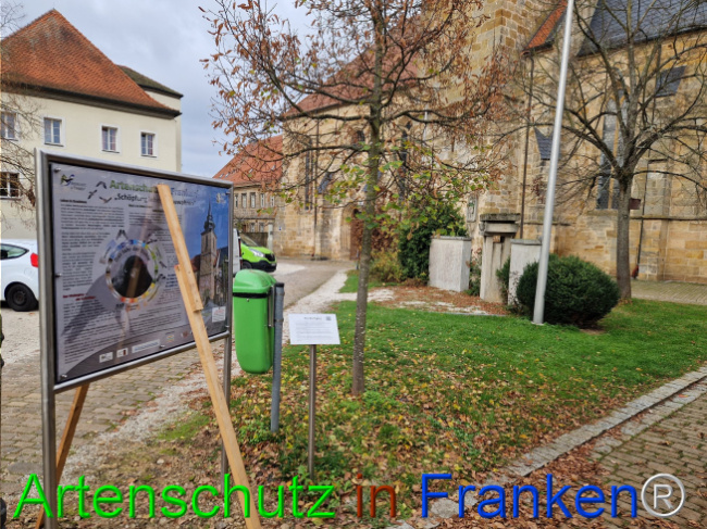 © Artenschutz in Franken® Bild zum Eintrag (1114910-160)