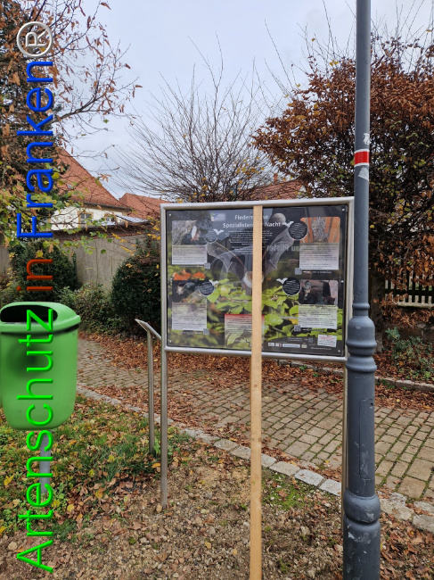 © Artenschutz in Franken® Bild zum Eintrag (1114912-160)