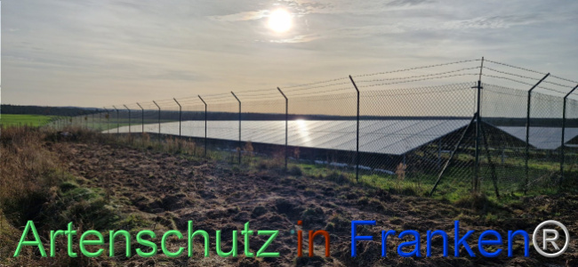 © Artenschutz in Franken® Bild zum Eintrag (1115391-160)