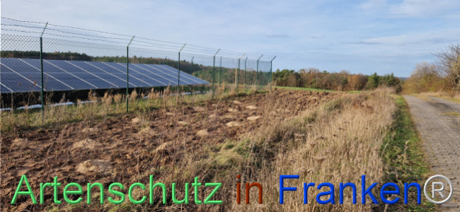 © Artenschutz in Franken® Bild zum Eintrag (1115392-160)