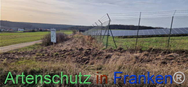 © Artenschutz in Franken® Bild zum Eintrag (1115395-160)