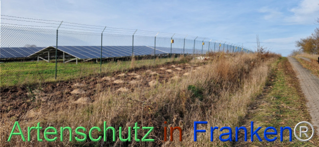 © Artenschutz in Franken® Bild zum Eintrag (1115396-160)