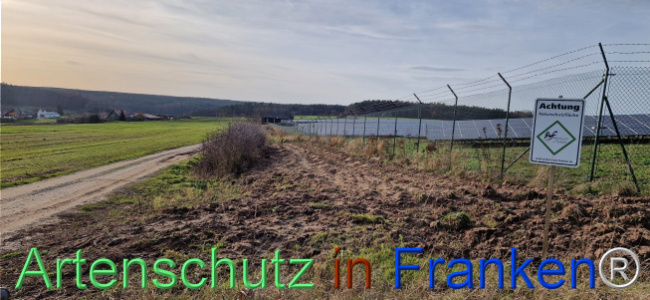 © Artenschutz in Franken® Bild zum Eintrag (1115398-160)