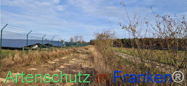 © Artenschutz in Franken® Bild zum Eintrag (1115400-160)