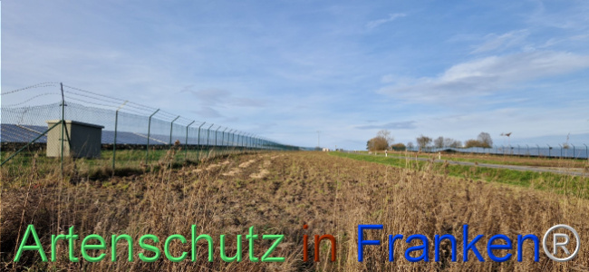 © Artenschutz in Franken® Bild zum Eintrag (1115402-160)