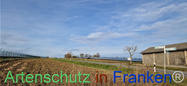 © Artenschutz in Franken® Bild zum Eintrag (1115403-160)