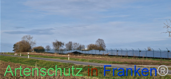 © Artenschutz in Franken® Bild zum Eintrag (1115406-160)