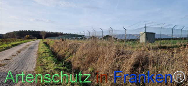 © Artenschutz in Franken® Bild zum Eintrag (1115407-160)