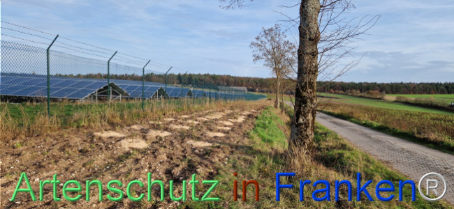 © Artenschutz in Franken® Bild zum Eintrag (1115408-160)