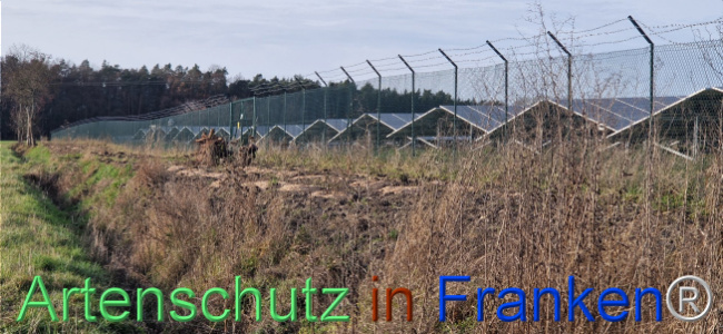 © Artenschutz in Franken® Bild zum Eintrag (1115410-160)