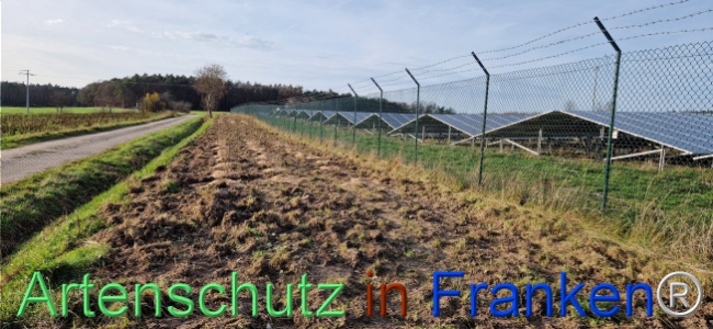 © Artenschutz in Franken® Bild zum Eintrag (1115411-160)