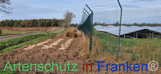 © Artenschutz in Franken® Bild zum Eintrag (1115421-160)