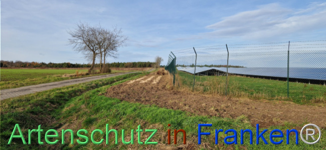 © Artenschutz in Franken® Bild zum Eintrag (1115422-160)