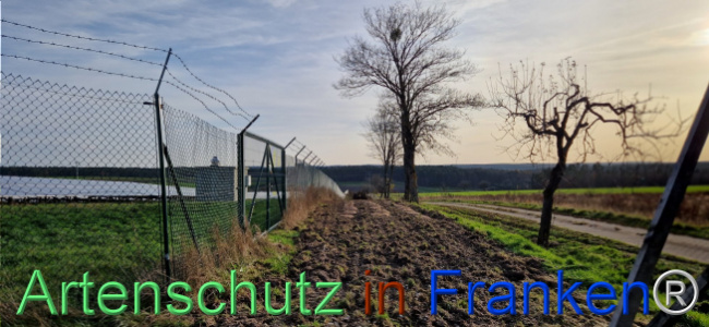 © Artenschutz in Franken® Bild zum Eintrag (1115426-160)