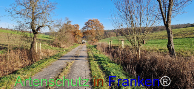 Bild zum Eintrag (1115609-160)
