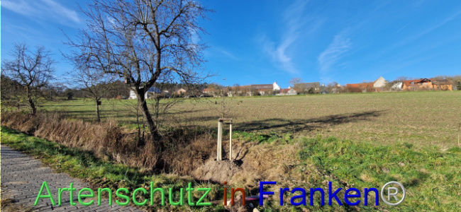 Bild zum Eintrag (1115611-160)