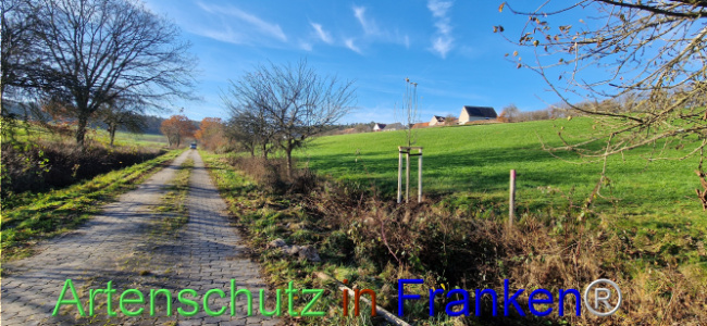 © Artenschutz in Franken® Bild zum Eintrag (1115621-160)