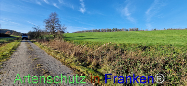 Bild zum Eintrag (1115627-160)