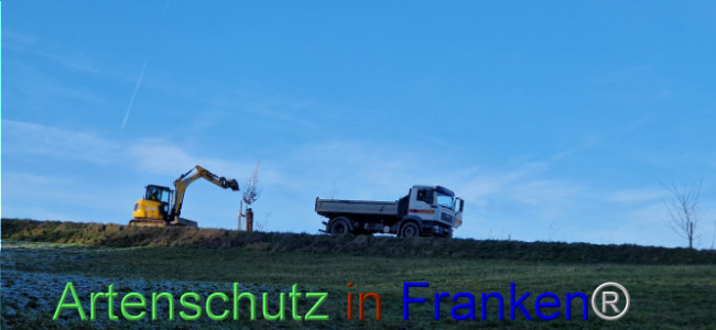 Bild zum Eintrag (1115628-160)