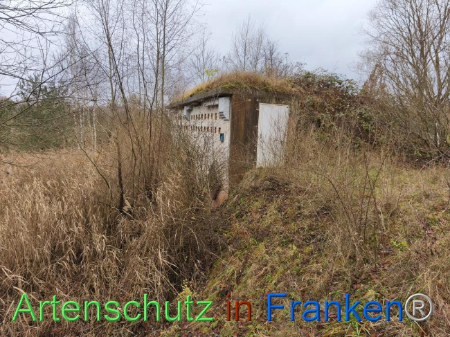 © Artenschutz in Franken® Bild zum Eintrag (1116204-160)