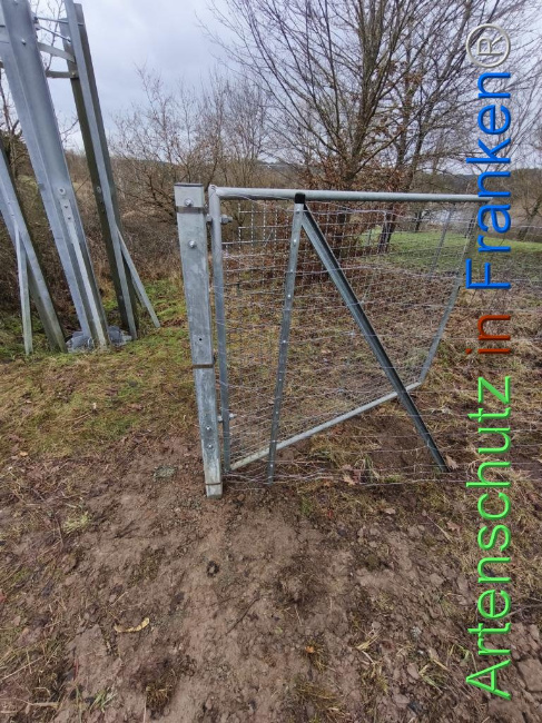 © Artenschutz in Franken® Bild zum Eintrag (1116205-160)