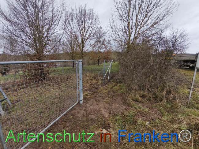 © Artenschutz in Franken® Bild zum Eintrag (1116206-160)