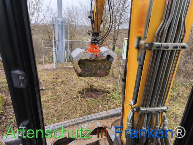 © Artenschutz in Franken® Bild zum Eintrag (1116208-160)