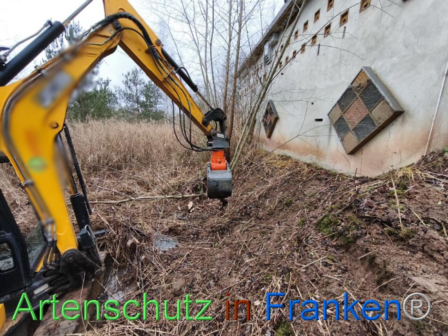 © Artenschutz in Franken® Bild zum Eintrag (1116210-160)